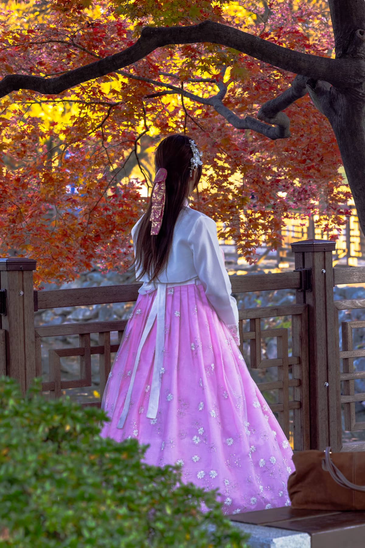 Portfolio — photo 1