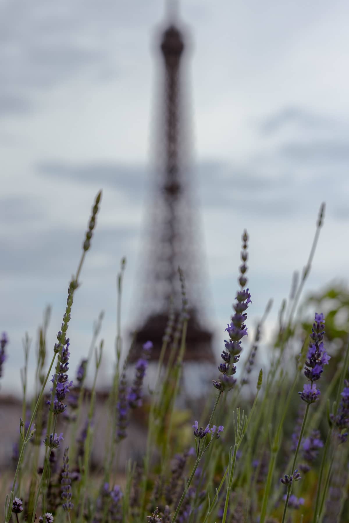 Paris — photo 10